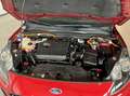 Ford Kuga 2.5 PHEV 165kW ST-Line X e-CVT Rojo - thumbnail 19