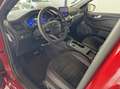 Ford Kuga 2.5 PHEV 165kW ST-Line X e-CVT Rojo - thumbnail 12