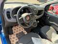 Fiat Panda MY25 1.0 firefly hybrid KM ZERO - PROMO FIN Nero - thumbnail 6