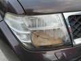 Nissan Navara doppiacabina Braun - thumbnail 4