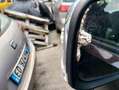 Nissan Navara doppiacabina Braun - thumbnail 11
