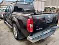 Nissan Navara doppiacabina Braun - thumbnail 7