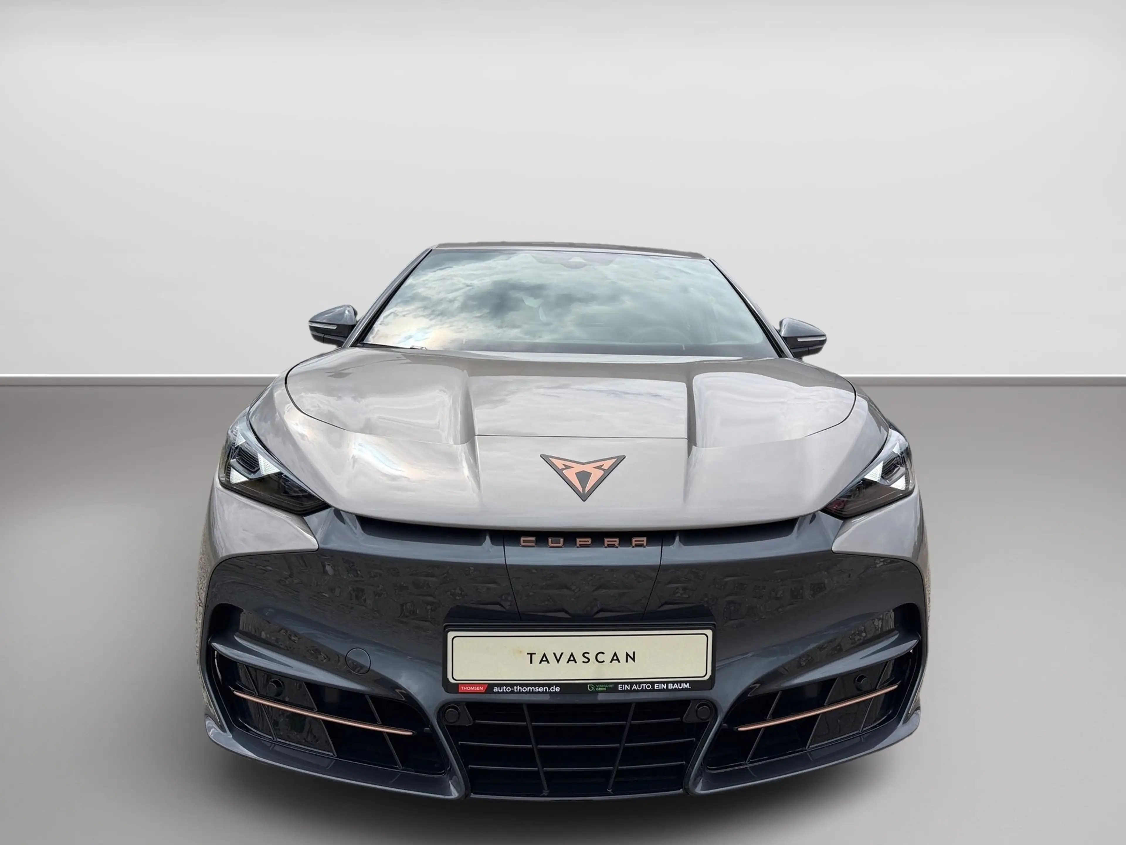 CUPRA Tavascan Endurance ACC+AUT+LED+PDC+Virtual — photo 3