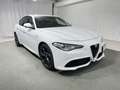 Alfa Romeo Giulia 2.2 t Veloce Q4 210cv awd auto Blanco - thumbnail 7