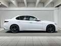 Alfa Romeo Giulia 2.2 t Veloce Q4 210cv awd auto Blanco - thumbnail 6
