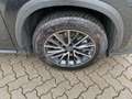 Lexus NX 450h+ NX 450h Business Line wenig KM*junger Gebrauchter Noir - thumbnail 6