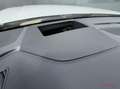 Audi Q7 55 TFSI quattro S Line 7p Pano ACC Trekhaak Camera Wit - thumbnail 13