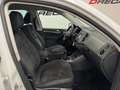 Volkswagen Tiguan Tiguan 2.0 tdi bm Sport Style UNIPROP 130.000 KM Blanco - thumbnail 13