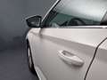 Skoda Kamiq -24% 1.0 TSI 115cv BVA +MIRRORLINK+CAM+Options Beige - thumbnail 38