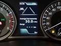 Suzuki S-Cross 1,4 DITC Hybrid shine Piros - thumbnail 13