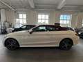 Mercedes-Benz C 220 d 4MATIC Cabrio Aut. AMG/Leder/Airscarf/ Weiß - thumbnail 11