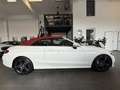 Mercedes-Benz C 220 d 4MATIC Cabrio Aut. AMG/Leder/Airscarf/ Weiß - thumbnail 4
