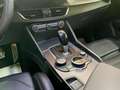 Alfa Romeo Giulia 2.2  Q4 Veloce Turbodiesel 210 CV AT8 Gris - thumbnail 13