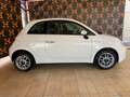 Fiat 500 1.0 Hybrid Weiß - thumbnail 3
