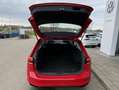 Volkswagen Passat Variant 2.0 TDI DSG Business NAVI+LED+KAM Rot - thumbnail 12