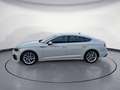 Audi A5 Sportback 35 TDI S tronic S line Navi R-Kamer Weiß - thumbnail 3