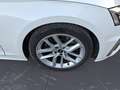 Audi A5 Sportback 35 TDI S tronic S line Navi R-Kamer Weiß - thumbnail 10