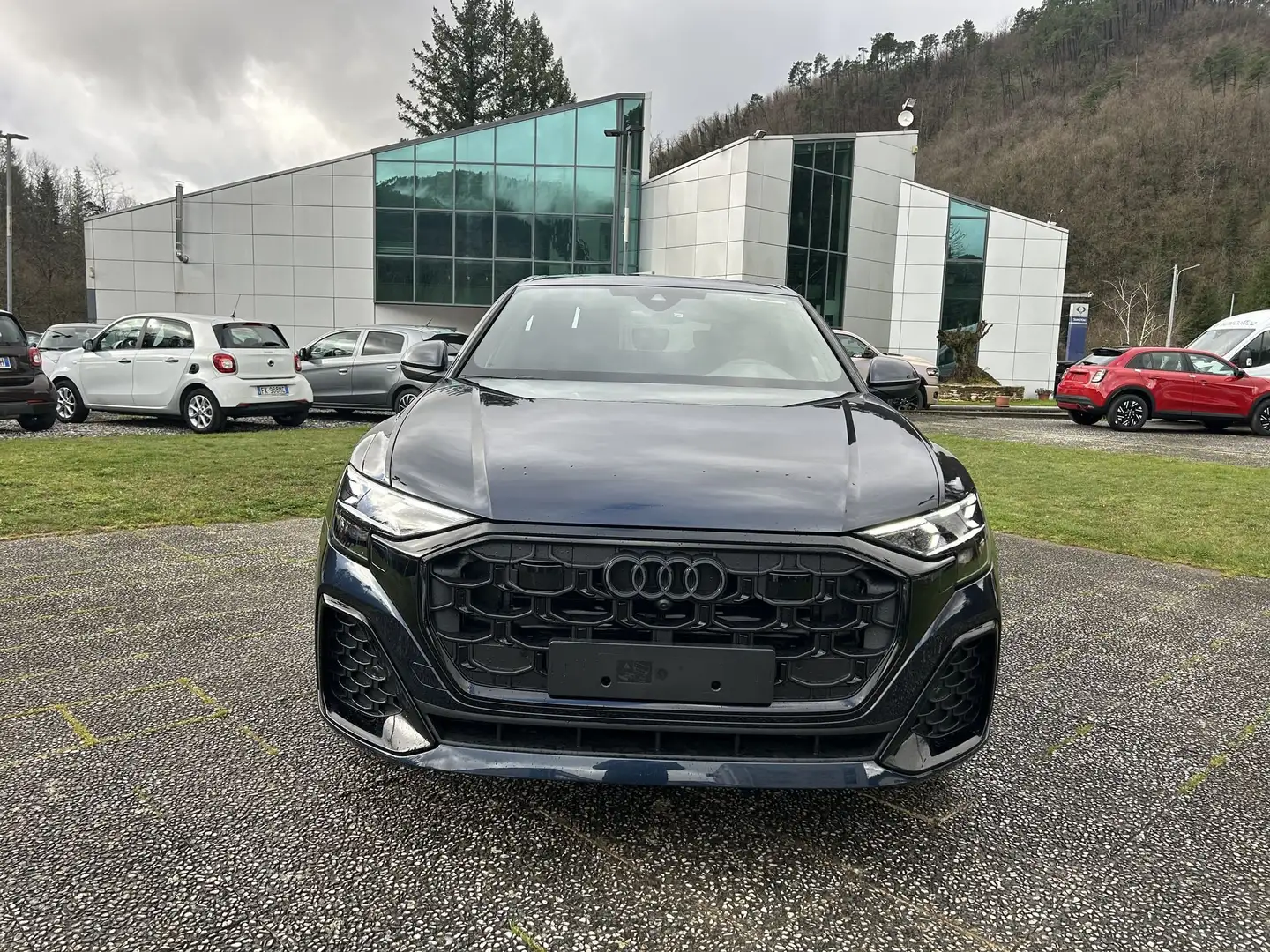 Audi Q8 50 TDI 286 CV quattro tiptronic S line edition M. Blu/Azzurro - 2