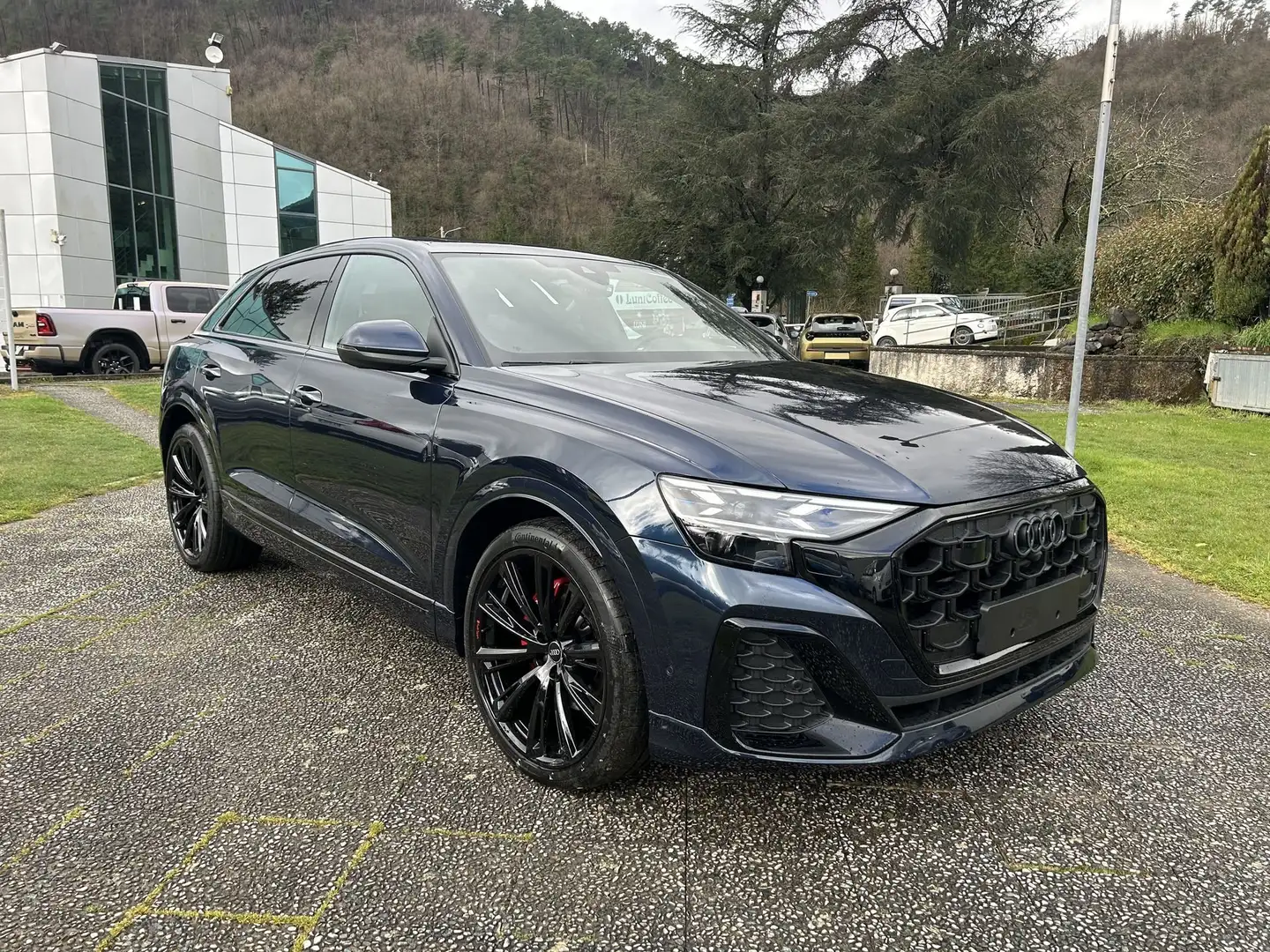 Audi Q8 50 TDI 286 CV quattro tiptronic S line edition M. Blu/Azzurro - 1