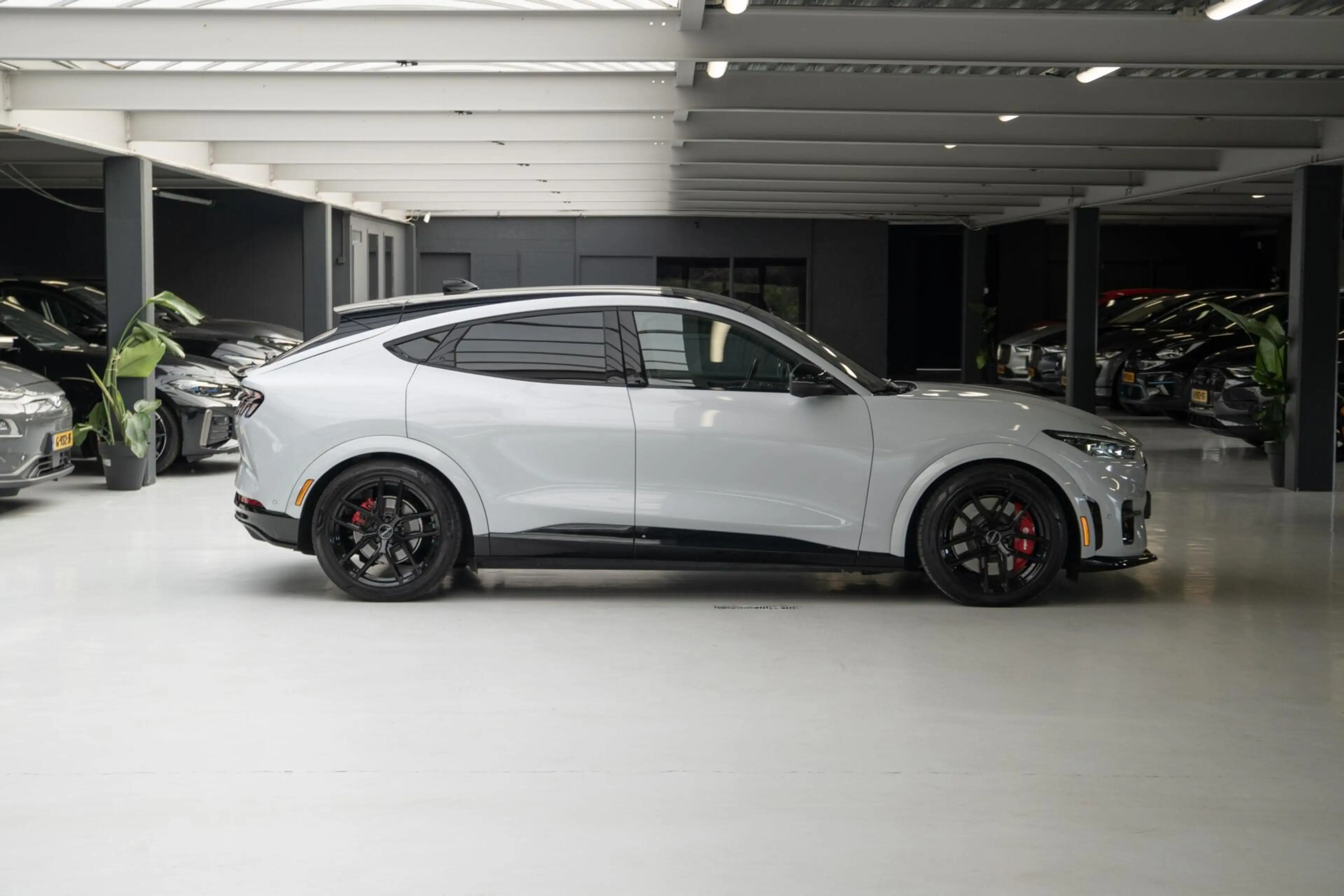 Ford Mustang Mach-E GT Extended AWD 98 kWh | SOH 98% | Leder — photo 11