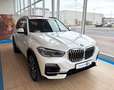 BMW X5 xDrive45e Head-Up Panorama Laser LC.P H&K ACC Wit - thumbnail 1