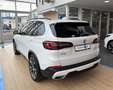 BMW X5 xDrive45e Head-Up Panorama Laser LC.P H&K ACC Wit - thumbnail 4