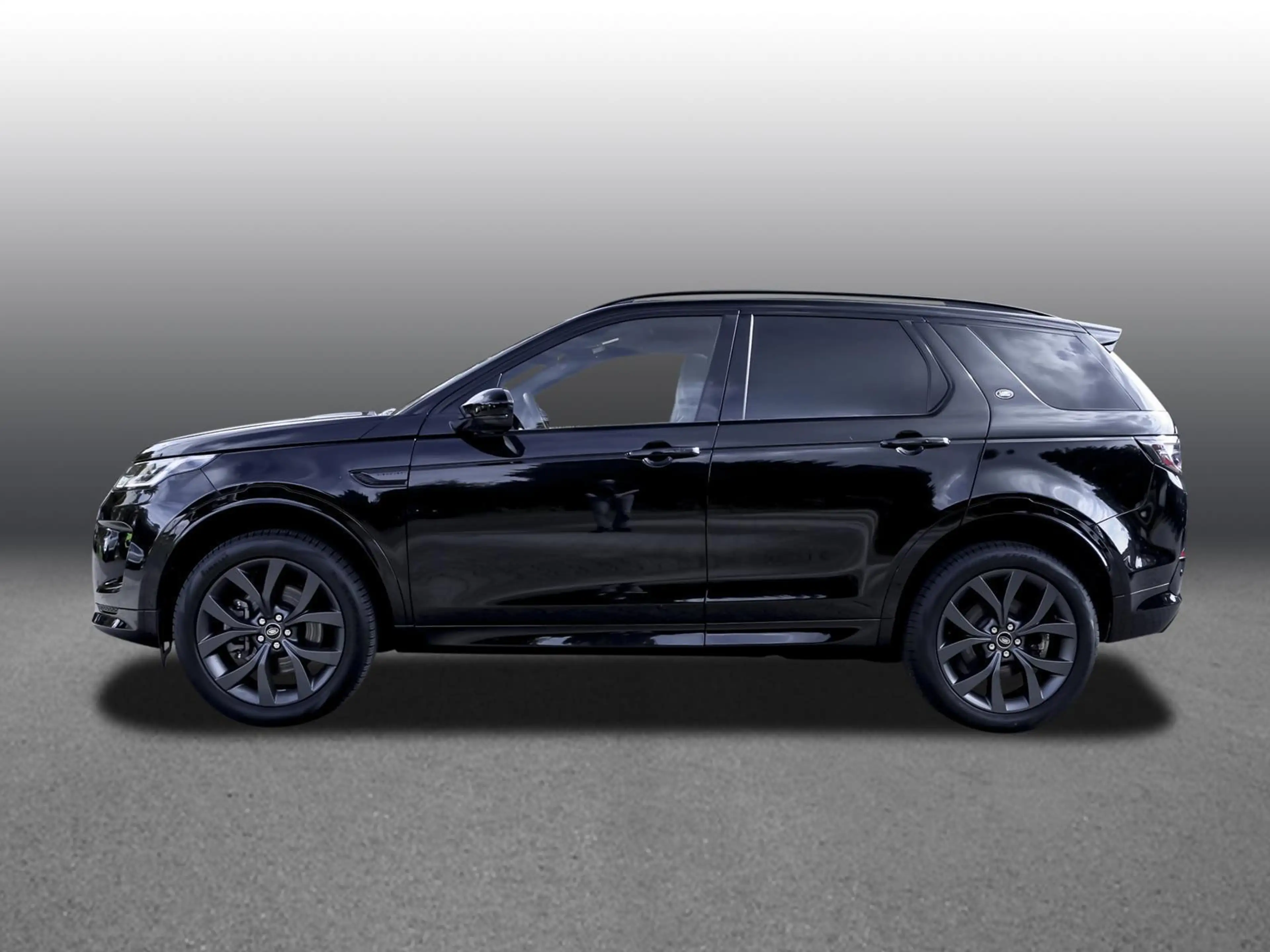 Land Rover Discovery Sport P250 R-Dyn SE BLACK-PACK PANO — photo 4