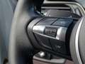 BMW X1 SDrive20i High Executive | Automaat | HUD | Xenon Gris - thumbnail 11