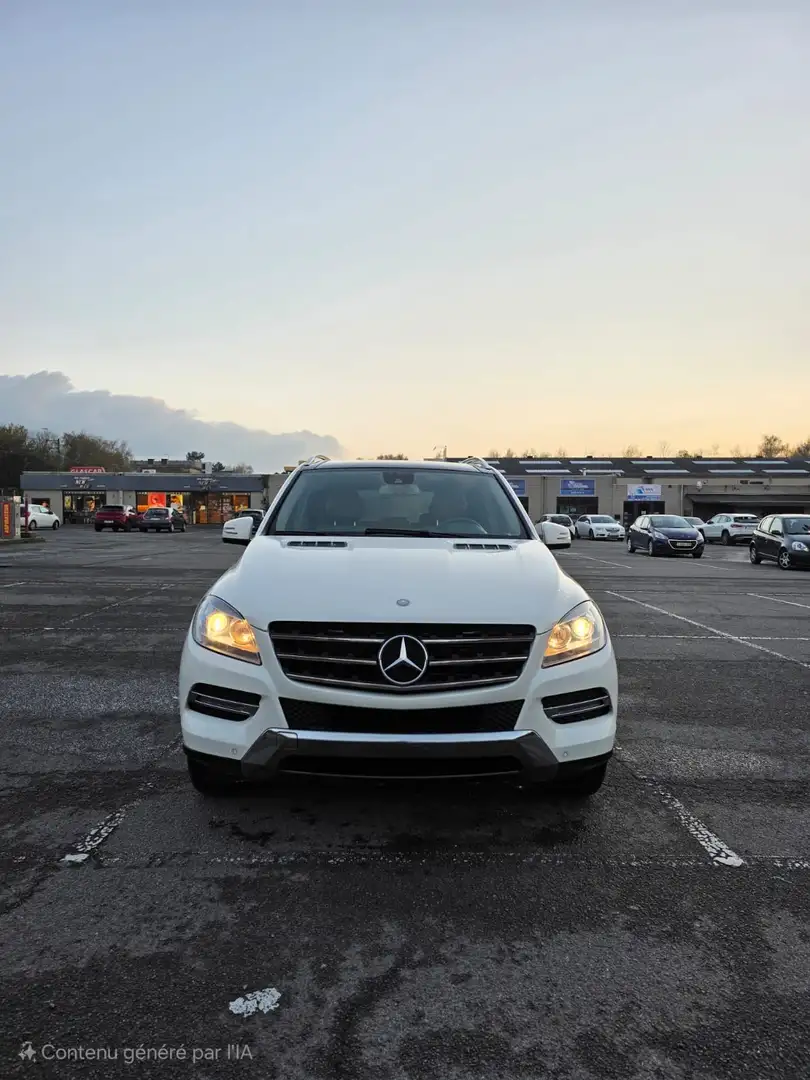 Mercedes-Benz ML 250 BlueTEC - 2