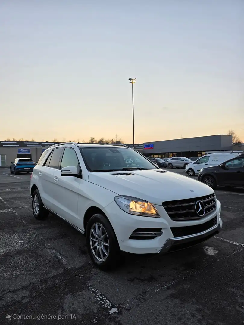 Mercedes-Benz ML 250 BlueTEC - 1