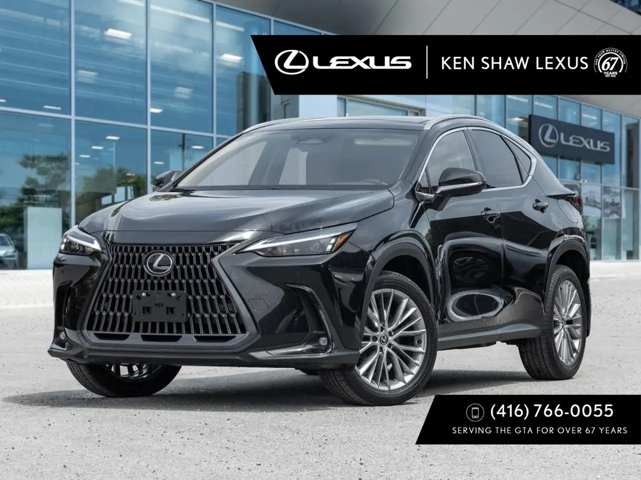 2024 Lexus NX