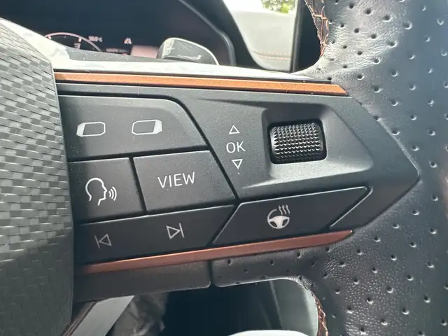 Cupra Formentor view 15