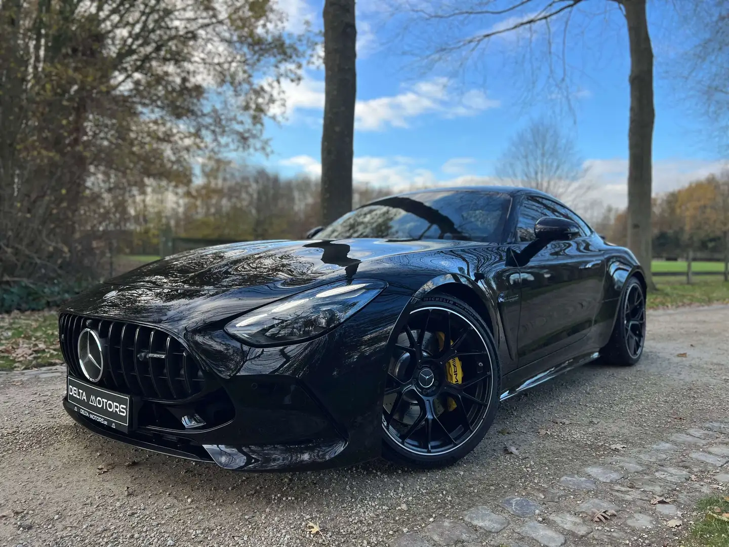 Mercedes-Benz AMG GT AMG GT 63 4MATIC+ Coupe 2D AMG Speedshift MCT 9G Noir - 2