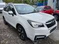 Subaru Forester 2.0 Navi Panorama Xenon Tempomat AHk Tüv Neu Cam White - thumbnail 3