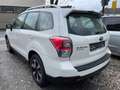 Subaru Forester 2.0 Navi Panorama Xenon Tempomat AHk Tüv Neu Cam Білий - thumbnail 6