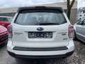 Subaru Forester 2.0 Navi Panorama Xenon Tempomat AHk Tüv Neu Cam Beyaz - thumbnail 5