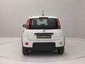 Fiat Panda Panda 1.0 firefly hybrid City Life *PROMO OUTLET* Blanc - thumbnail 7