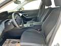 Peugeot 308 SW PureTech 130 S&S EAT8 Active Pack Blanc - thumbnail 9