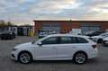 Skoda Octavia Combi 2,0 TDI Premium DSG Schwarz - thumbnail 6