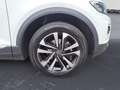 Volkswagen T-Roc 1.5 TSI DSG Pano LED Kamera PDC Sitz-Komfo Weiß - thumbnail 12