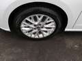 SEAT Ibiza Xcellence 1.0 TSI/LED, ACC, Navi, RFK, SHZ Weiß - thumbnail 17
