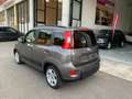 Fiat New Panda Panda 1.0 firefly hybrid +PACK STILE E COMFORT Grijs - thumbnail 3