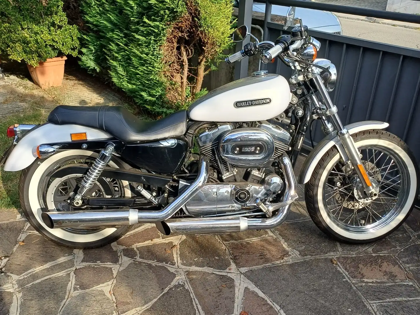 Harley-Davidson Sportster 1200 Gümüş rengi - 1