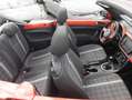 Volkswagen Beetle Cabrio 1.2 TSI DESIGN NAVI SITZH PDC+ LM1 Orange - thumbnail 8