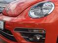 Volkswagen Beetle Cabrio 1.2 TSI DESIGN NAVI SITZH PDC+ LM1 Orange - thumbnail 13