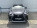 Lexus NX 450h+ F SPORT Line+360° camera+navi+ Gris - thumbnail 2