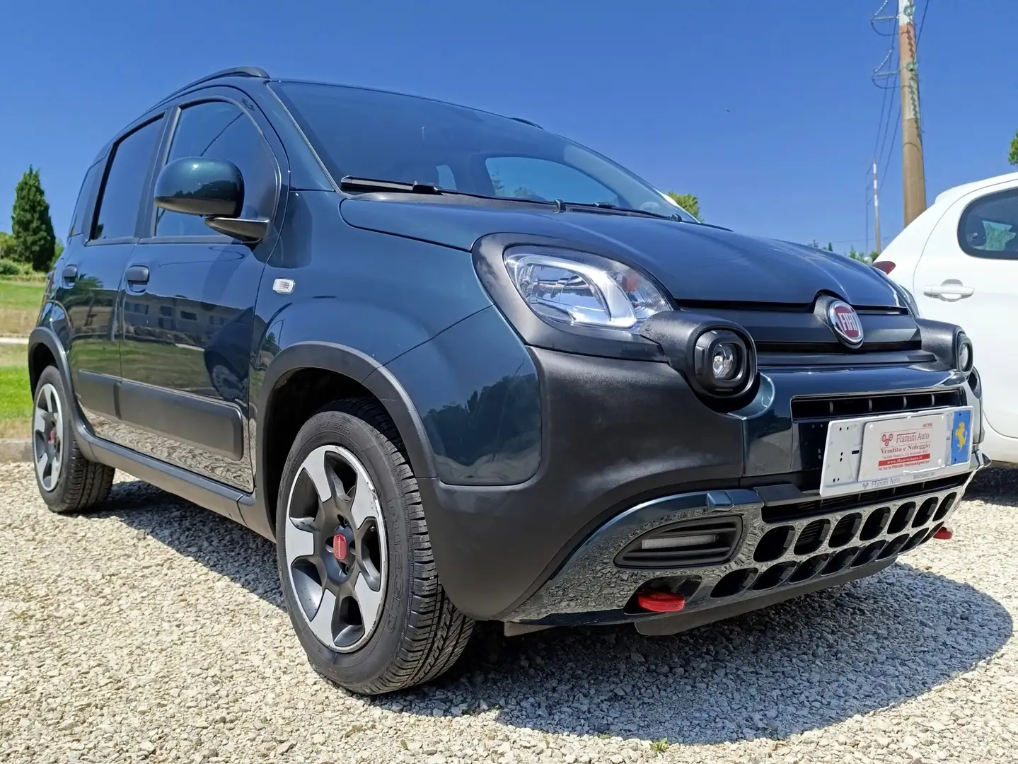 Fiat Panda Cross 1.0  hybrid 70CV 4X2 Verde - 2
