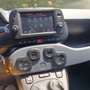 Fiat Panda Cross 1.0  hybrid 70CV 4X2 Verde - thumbnail 10