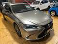 Lexus ES 300 ES 300h 2.5 Executive cvt Bronzo - thumbnail 4