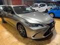Lexus ES 300 ES 300h 2.5 Executive cvt Bronzo - thumbnail 6